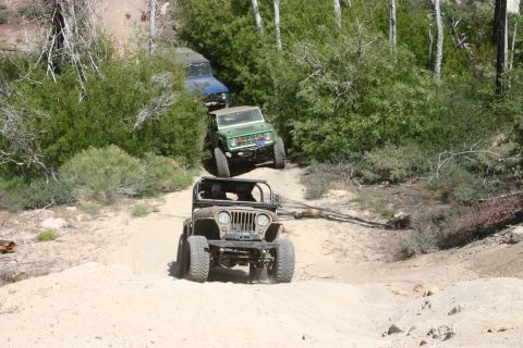 1991 Ford Bronco - A convoy of off-road vehicles, including a green 1991 Ford Bronco and a Jeep, navigates a dusty trail through a wooded area.