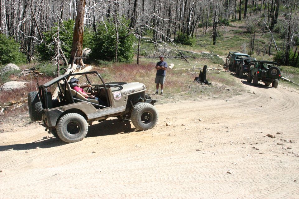 Tan Jeep CJ-5 with roll cage and spare tire on the back drives on a dirt road