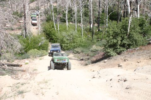1991 Ford Bronco - A line of off-road vehicles, led by a green 1970s Ford Bronco, navigates a dusty trail through a wooded area.