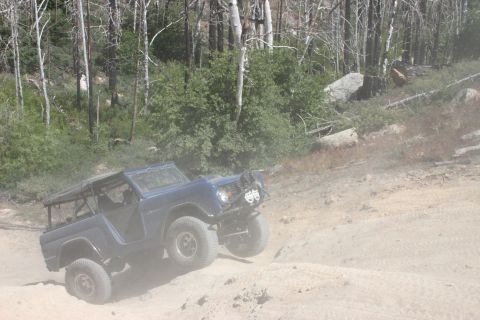 1991 Ford Bronco - This blue SUV navigates a dusty, off-road trail with trees and rocks in the background.
