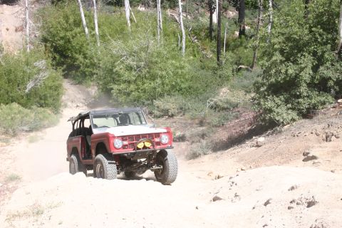 1991 Ford Bronco - This classic Ford Bronco navigates a dusty trail through a forest landscape.