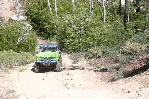 1991 Ford Bronco - This modified off-road vehicle navigates a dusty trail surrounded by trees and brush.
