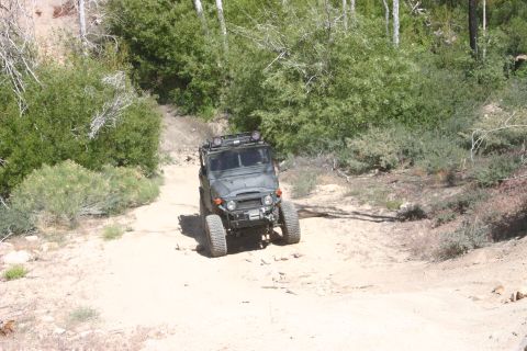 1991 Ford Bronco - Off-road vehicle navigates a dusty trail surrounded by dense vegetation.