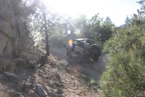 1991 Ford Bronco - A vehicle navigates a rocky, wooded trail under bright sunlight.