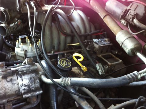 1992 Ford F-150 - Most of the old stuff out. Left the cap on and plugs in while cleaning up a little.