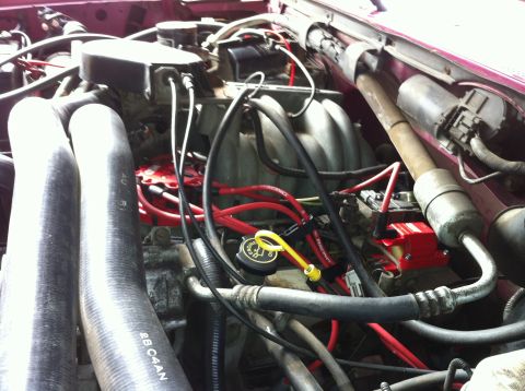 1992 Ford F-150 - Everything in. Man does she purr now. Plugs are all gapped to .055in.
