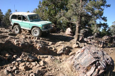 1991 Ford Bronco - Green Ford Bronco navigating a challenging rocky trail in a wooded area.