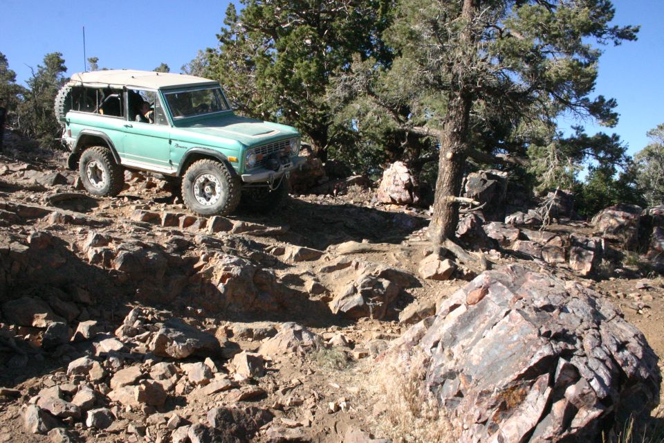 Green Ford Bronco climbing a rocky hill with trees and blue sky