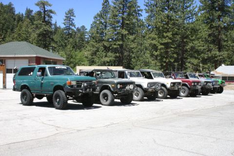 1991 Ford Bronco - A line of Ford Broncos are parked outdoors on a sunny day, with trees and a building in the background.