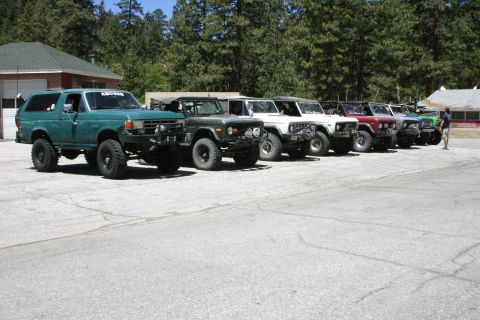 1991 Ford Bronco - A line of Ford Broncos, including a green one with a lifted suspension and custom front bumper, parked outdoors.