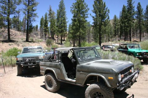 1991 Ford Bronco - Several off-road vehicles, including a modified Ford Bronco, are parked in a wooded area on a sunny day.