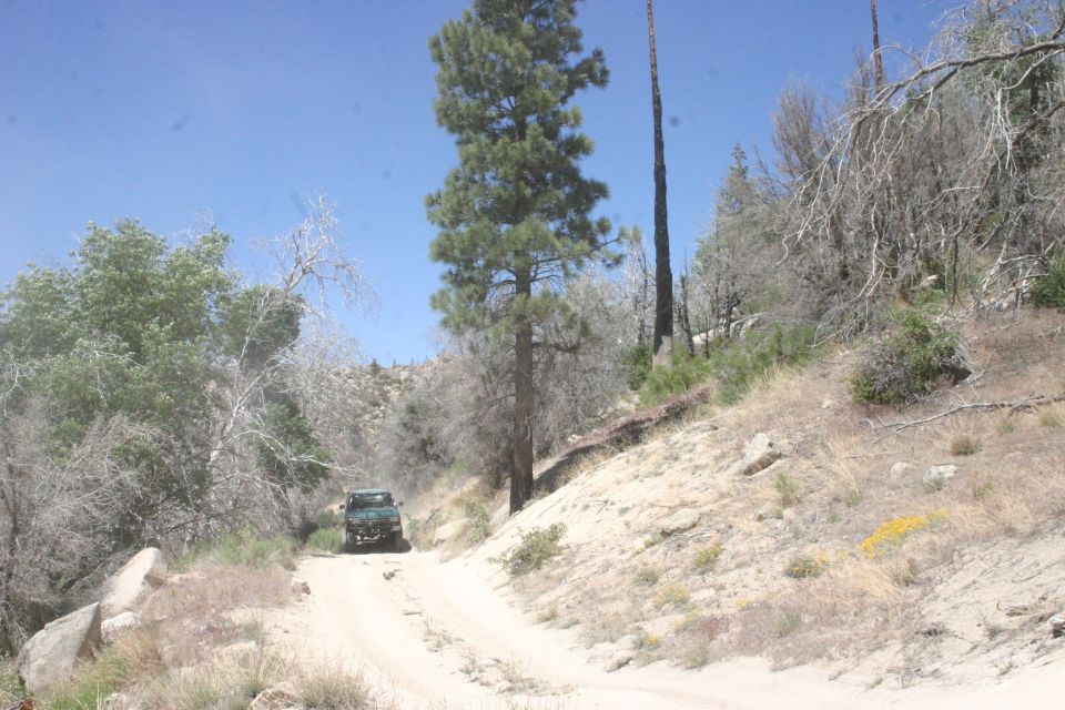 Dark green SUV on dirt road, wooded hills