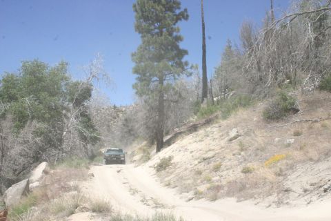 1991 Ford Bronco - A green SUV navigates a dusty, uphill dirt road in a dry, wooded landscape.