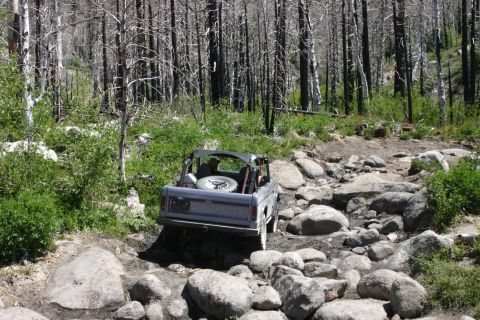 1991 Ford Bronco - A classic Ford Bronco tackles a challenging off-road path through a forest with dead trees.