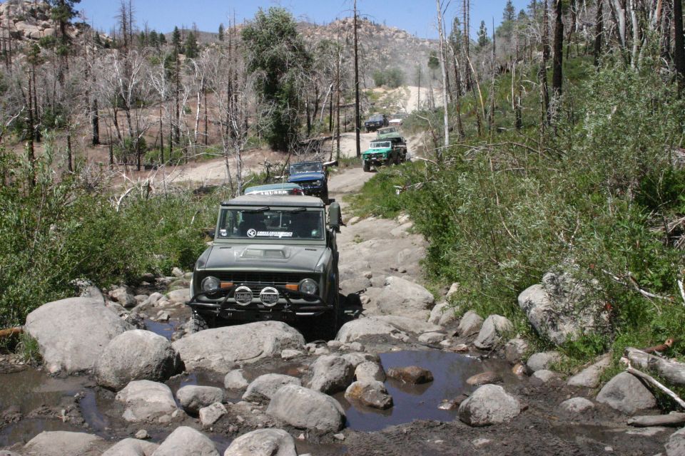 Several off-road vehicles driving on a rocky trail through a wooded area
