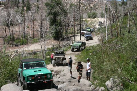 1991 Ford Bronco - A group of off-road vehicles navigates a , wooded trail.