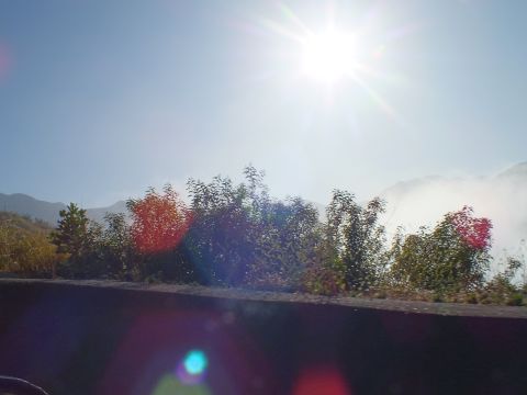 2003 Ford Crown Victoria - Backlit roadside scene with the sun above sparse trees and distant peaks, vivid lens flare below.