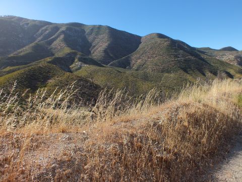 2003 Ford Crown Victoria - Sun-bleached grasses line a dirt road edge with chaparral peaks rising in the distance