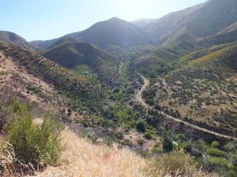 2003 Ford Crown Victoria - View down into a brush-covered canyon, a dirt road snaking along the valley floor between sunlit ridges
