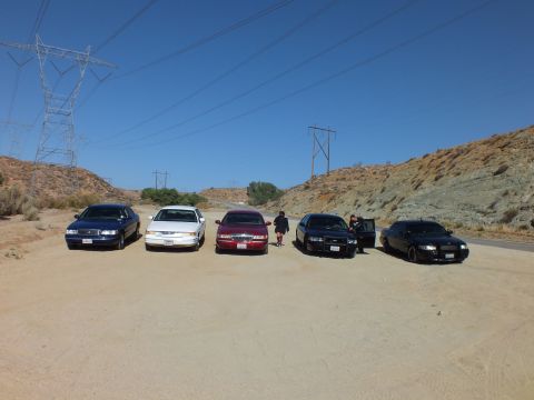 2003 Ford Crown Victoria - Row of sedans including a maroon and a white car parked in a dirt clearing under power lines