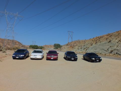 2003 Ford Crown Victoria - Sedans lined up facing camera in a sandy clearing, rocky hillside and power lines behind