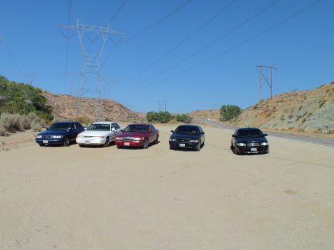 2003 Ford Crown Victoria - Row of sedans parked at an angle in a sandy clearing under power lines and rocky hills