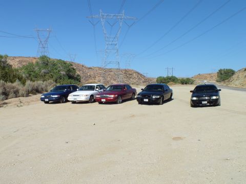 2003 Ford Crown Victoria - Lineup of sedans in a dirt clearing, blue white maroon and black cars below power lines