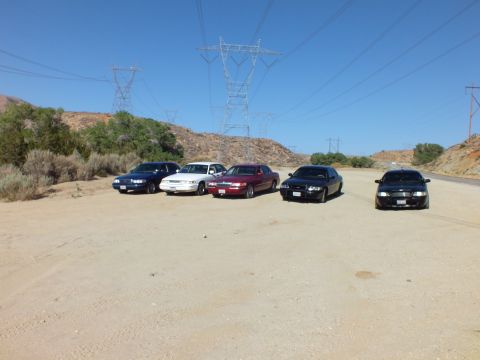 2003 Ford Crown Victoria - Full-size sedans gathered in a sandy clearing beneath transmission towers and brown hills