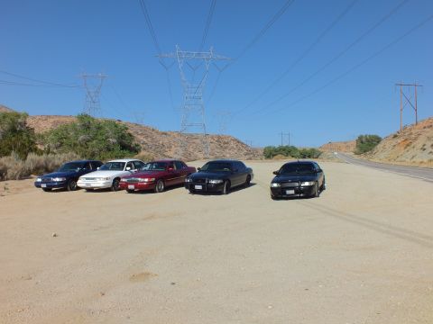 2003 Ford Crown Victoria - Row of sedans in a dirt clearing with sunlight on a black car, transmission towers behind