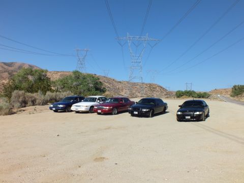 2003 Ford Crown Victoria - Sedans lined up in a sandy clearing, maroon and white cars among black ones under power lines
