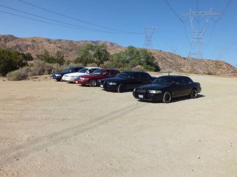 2003 Ford Crown Victoria - Blacked-out full-size sedan on dark wheels parked ahead of a row of cars under power lines