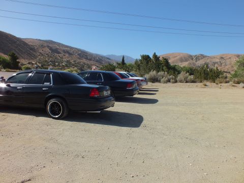2003 Ford Crown Victoria - Several dark Panther-platform sedans line up on a dirt lot beneath overhead power lines