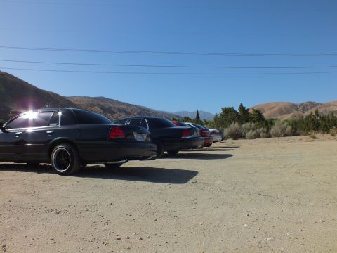 2003 Ford Crown Victoria - Lineup of dark full-size sedans seen from the rear with sun glare off chrome and desert behind