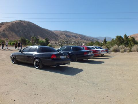 2003 Ford Crown Victoria - Mixed-color sedan lineup on a dirt lot as a few people stand near the desert hillside