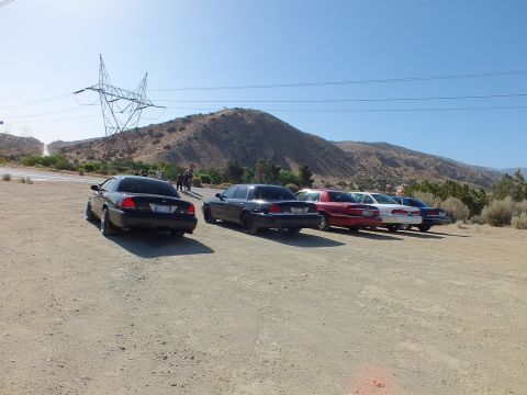 2003 Ford Crown Victoria - Five sedans parked tail-out on a dirt lot with a transmission tower and hill in the background