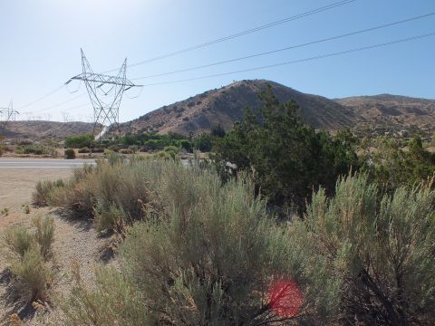 2003 Ford Crown Victoria - Sagebrush in the foreground with a power pylon and brown hill across a quiet desert road