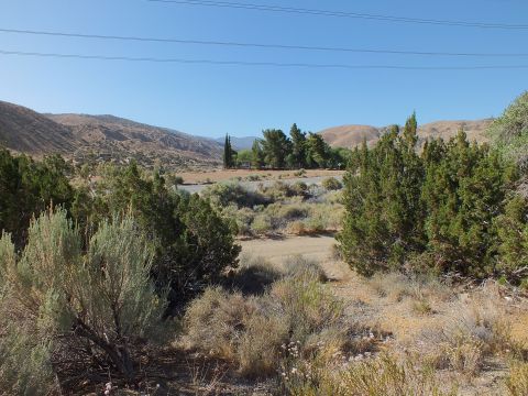 2003 Ford Crown Victoria - Sagebrush and junipers fill a wide desert valley framed by tan mountains and blue sky