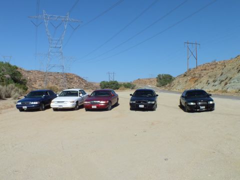2003 Ford Crown Victoria - row of dark and light sedans faces forward on a dirt lot framed by power pylons and ridges