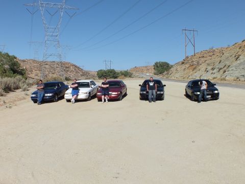 2003 Ford Crown Victoria - Lineup of five sedans with their owners standing in front on a sandy roadside lot.