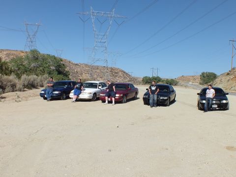 2003 Ford Crown Victoria - blue, white, maroon and two black sedans parked with their owners on a sandy pullout.