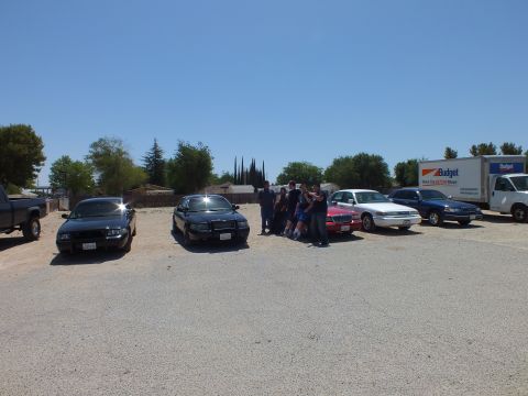 2003 Ford Crown Victoria - Crown Victoria sedans parked in a row with attendees clustered between cars under clear sky.