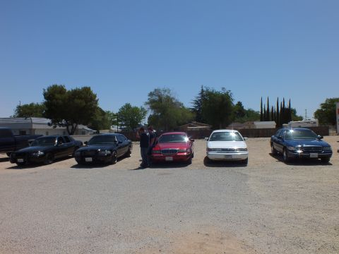 2003 Ford Crown Victoria - Five full-size sedans lined up facing camera with a person standing near the red car.