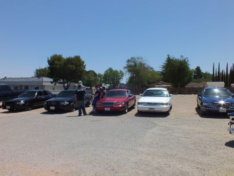 2003 Ford Crown Victoria - Attendees gather among a row of full-size sedans parked at an angle in the dirt lot.