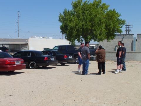 2003 Ford Crown Victoria - Several men stand and talk near black full-size sedans and a pickup beside a tree