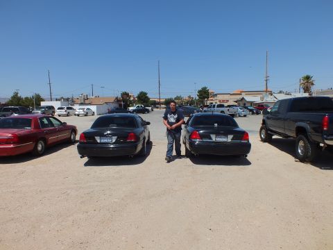 2003 Ford Crown Victoria - One person poses between two black full-size sedans with a maroon car and pickup nearby