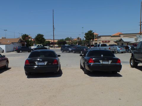 2003 Ford Crown Victoria - Two black Crown Victorias rear-first in a busy lot with parked cars and a pickup beyond