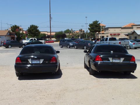 2003 Ford Crown Victoria - Rear view of two black sedans with dual tailpipes, strip-mall and lot behind