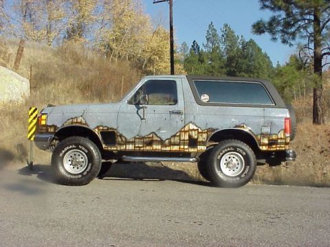 1989 Ford Bronco - Driver's-side profile of a light blue full-size Ford Bronco with a black hardtop, airbrushed brown mountain and pine scenery across the low…