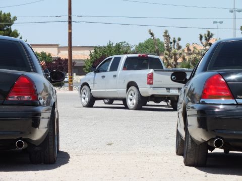 2003 Ford Crown Victoria - Rear quarters of two black sedans bracket a silver Dodge Ram, desert trees in the background