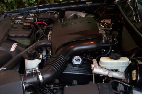 1998 Ford Crown Victoria - Note the Ford Police Vehicles oil cap.